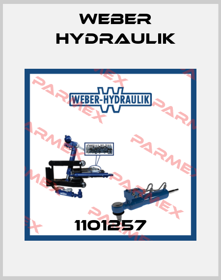 1101257 Weber Hydraulik