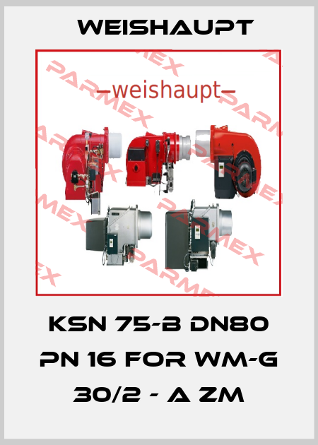 KSN 75-B DN80 PN 16 for WM-G 30/2 - A ZM Weishaupt