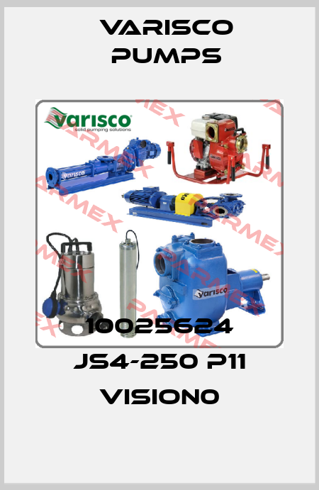 10025624 JS4-250 P11 VISION0 Varisco pumps