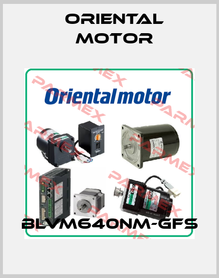 BLVM640NM-GFS Oriental Motor