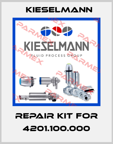 repair kit for 4201.100.000 Kieselmann