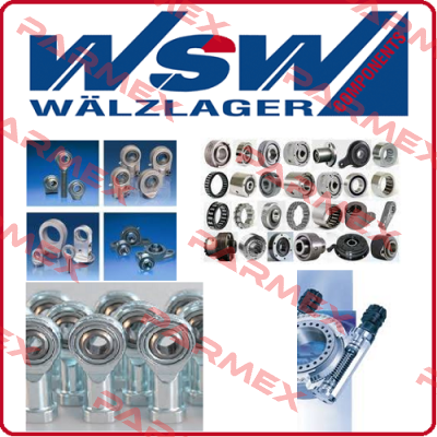 SD100 WSW Waelzlager