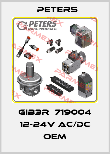 GIB3R  719004 12-24V AC/DC OEM Peters