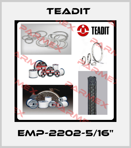 EMP-2202-5/16" Teadit