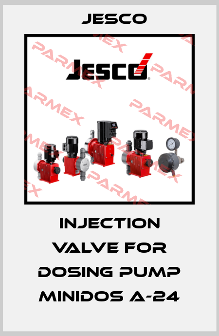 Injection valve for dosing pump Minidos A-24 Jesco