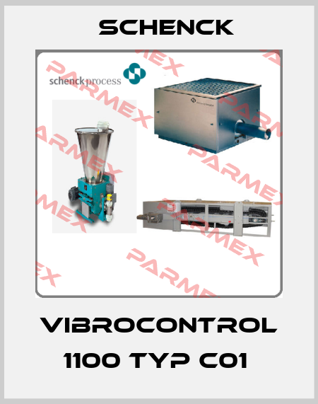 VIBROCONTROL 1100 TYP C01  Schenck