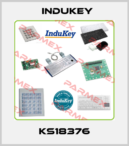 KS18376 InduKey