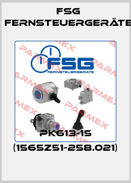 PK613-15 (1565Z51-258.021) FSG Fernsteuergeräte