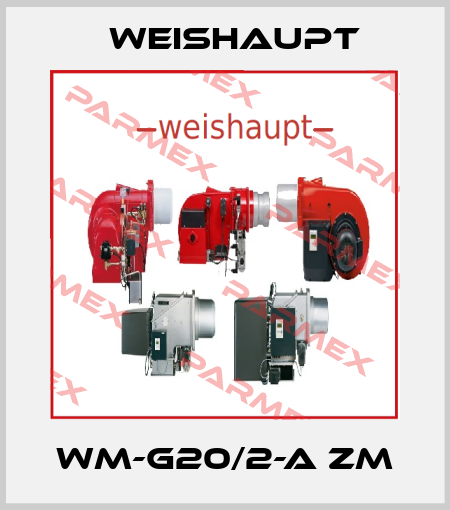 WM-G20/2-A ZM Weishaupt