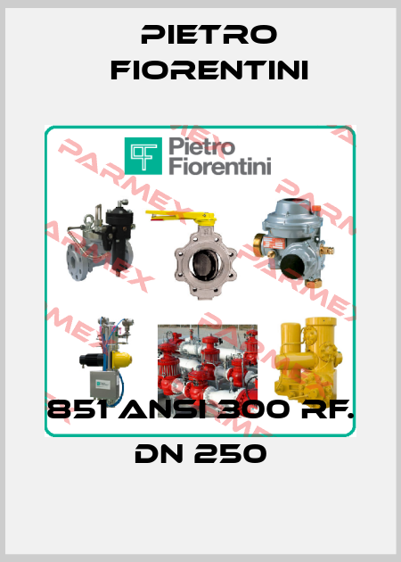 851 ANSI 300 RF. DN 250 Pietro Fiorentini
