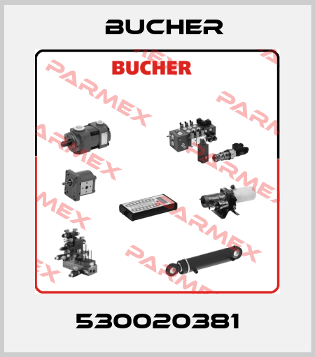 530020381 Bucher