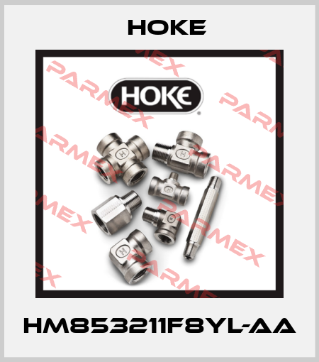 HM853211F8YL-AA Hoke
