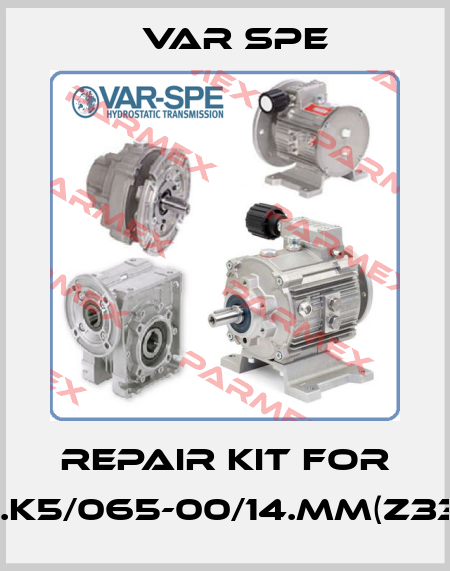 Repair kit for 11.K5/065-00/14.MM(Z33) Var Spe