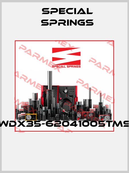 WDX35-62041005TMS  Special Springs