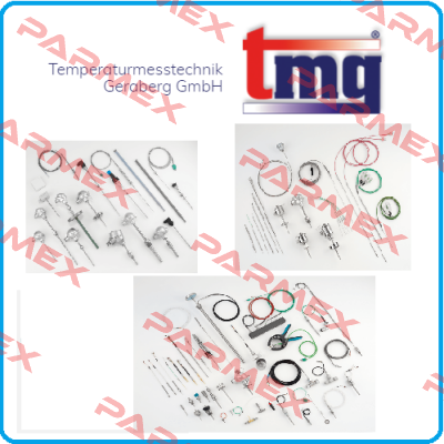 WV 95 /PT100 Kl.1/3B TMG GERABERG