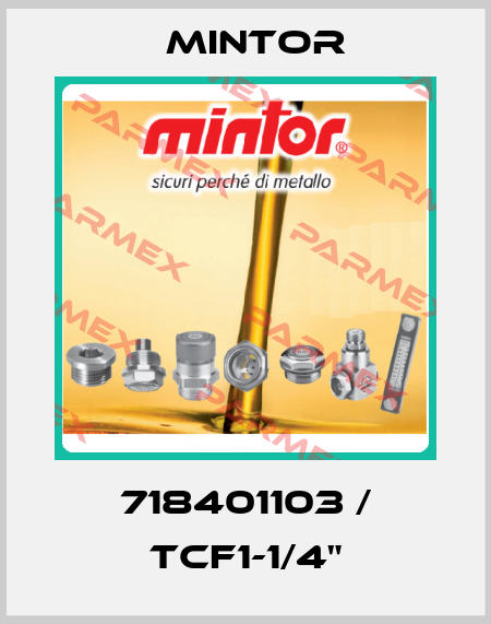 718401103 / TCF1-1/4" Mintor