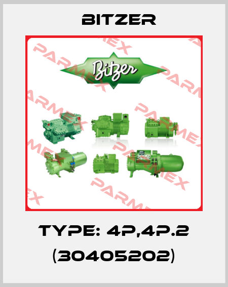 Type: 4P,4P.2 (30405202) Bitzer
