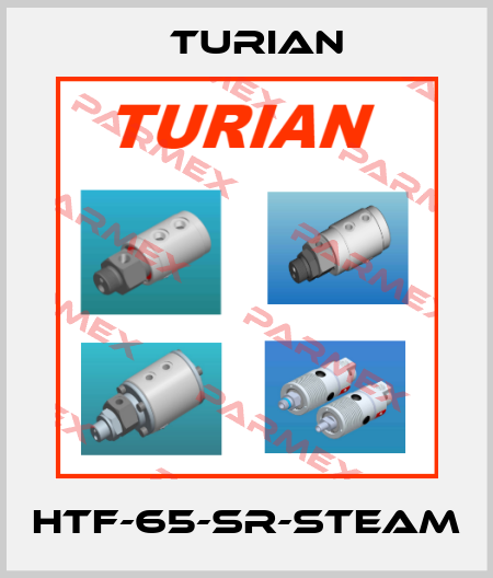 HTF-65-SR-STEAM Turian