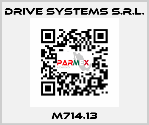 M714.13 DRIVE SYSTEMS s.r.l.