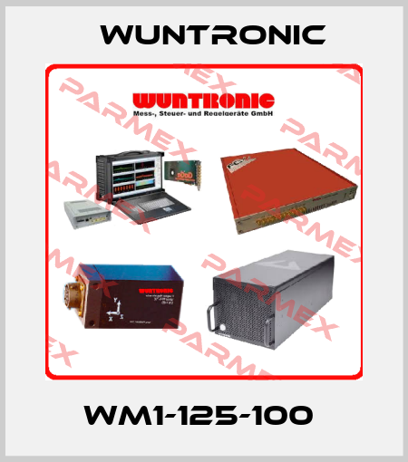 WM1-125-100  Wuntronic