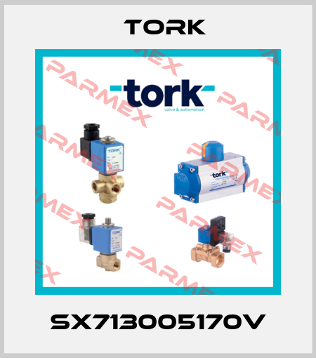 SX713005170V Tork