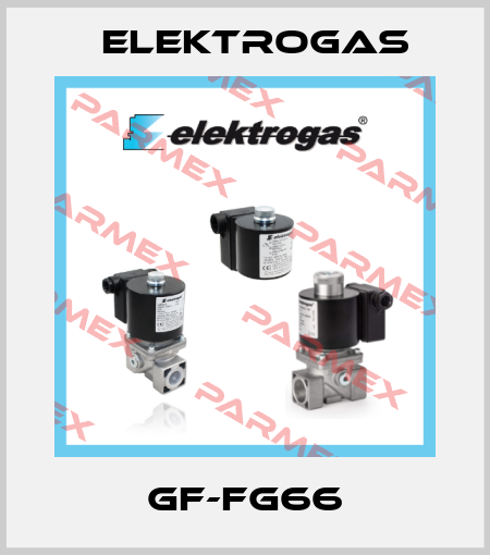GF-FG66 Elektrogas