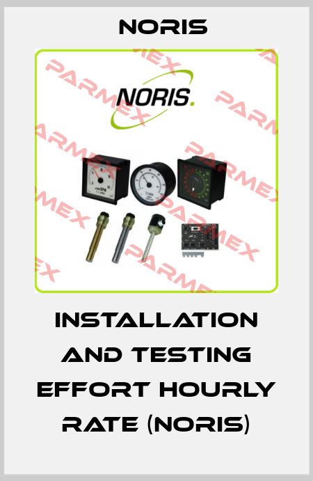 Installation and testing effort Hourly rate (NORIS) Noris