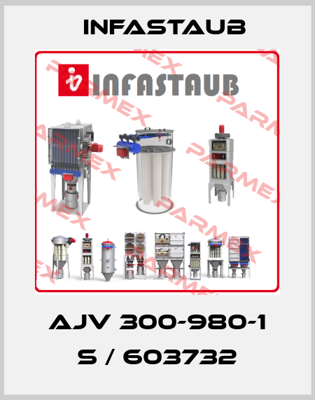 AJV 300-980-1 S / 603732 Infastaub