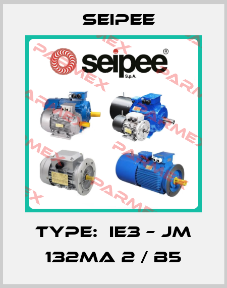 Type:  IE3 – JM 132MA 2 / B5 SEIPEE