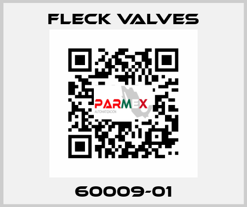 60009-01 Fleck Valves