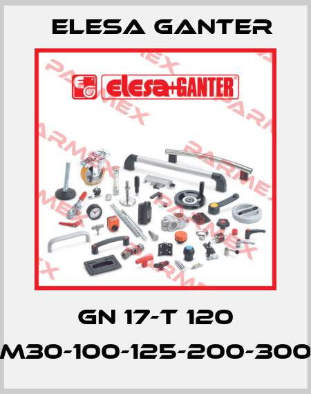 GN 17-T 120 M30-100-125-200-300 Elesa Ganter
