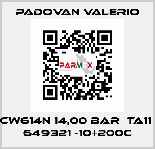 CW614N 14,00 BAR  TA11  649321 -10+200C PADOVAN VALERIO