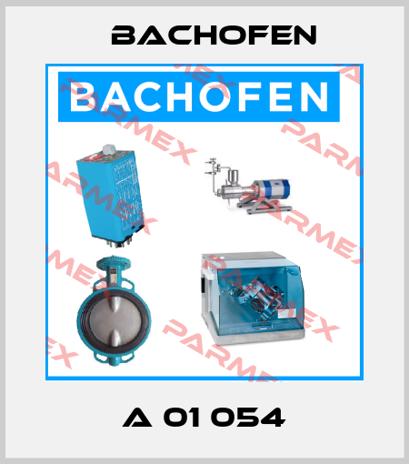 A 01 054 Bachofen
