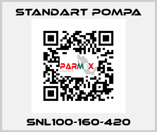SNL100-160-420 STANDART POMPA
