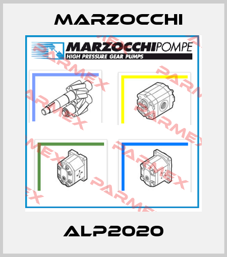 ALP2020 Marzocchi