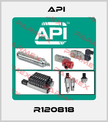 R120818 API