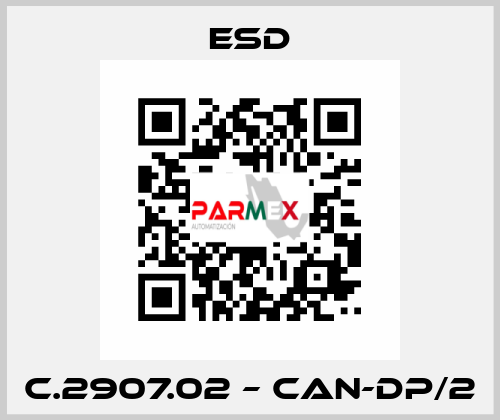 C.2907.02 – CAN-DP/2 ESD