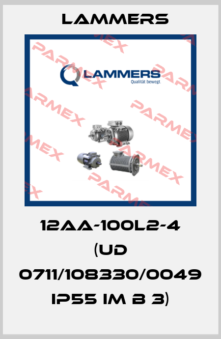 12aa-100L2-4 (UD 0711/108330/0049 IP55 IM B 3) Lammers