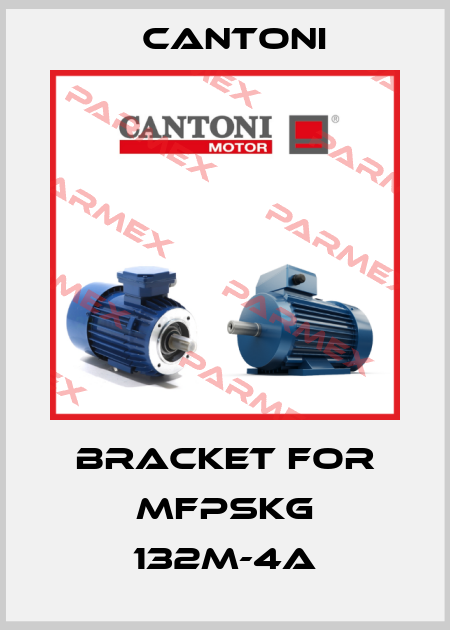 bracket for mFPSKg 132M-4A Cantoni