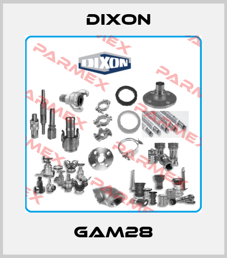 GAM28 Dixon