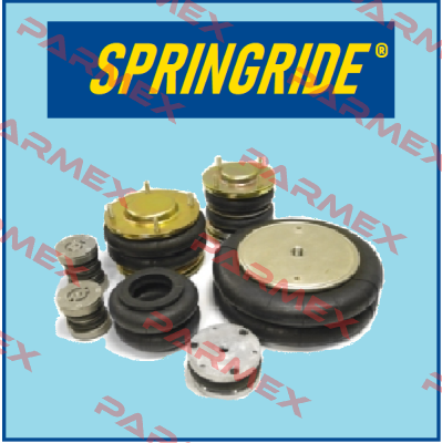 SP2967 Springride