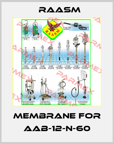 Membrane for AAB-12-N-60 Raasm