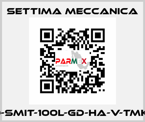 GR40-SMIT-100L-GD-HA-V-TMK-CSM Settima Meccanica