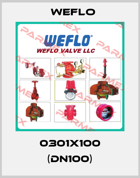 0301X100 (DN100) Weflo