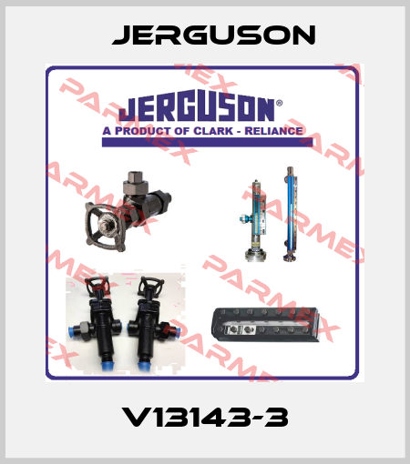 V13143-3 Jerguson