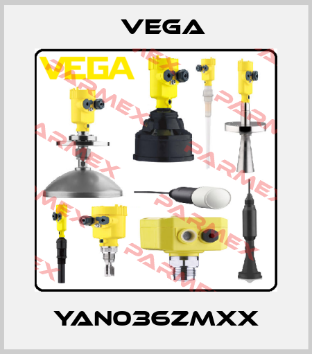 YAN036ZMXX Vega
