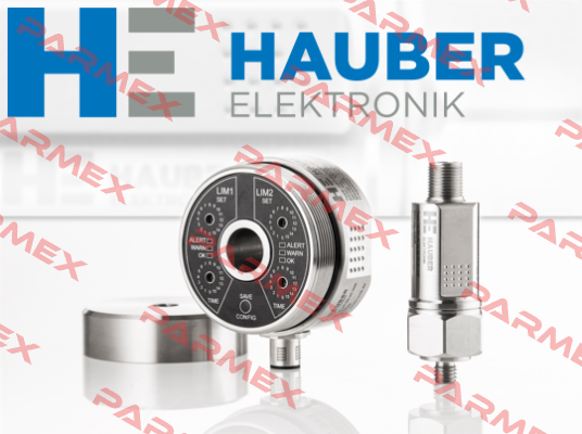 HE100.00.20.01.00.00.100 HAUBER