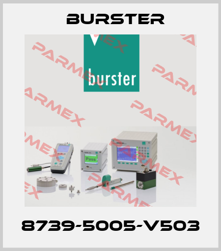 8739-5005-V503 Burster
