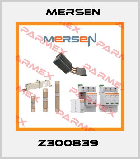 Z300839  Mersen