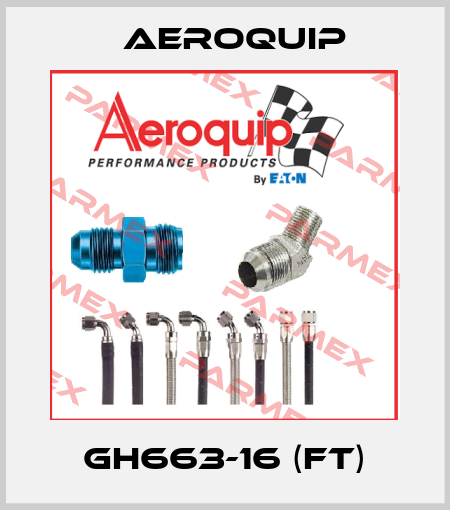 GH663-16 (FT) Aeroquip
